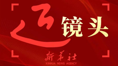 近镜头丨总书记情牵南粤大地