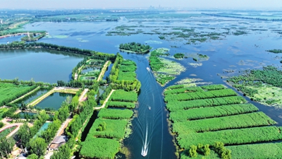 “三高并举”建设现代化城市