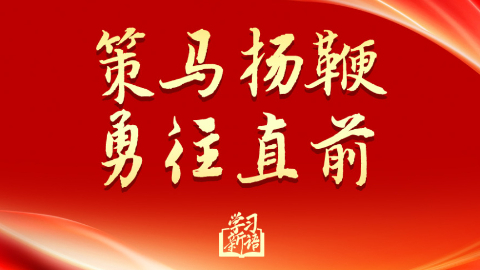 策马扬鞭 勇往直前