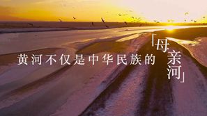 跟着总书记的考察足迹｜在这里，黄河入海，飞鸟翔集