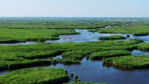 全球连线 | 纪录片《生命共同体&mdash;&mdash;黄河》