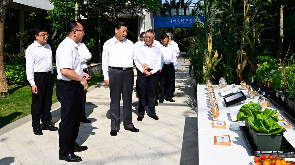 镜观·领航丨习近平：这是一件具有战略意义的大事