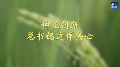 第1视点丨种业创新，总书记这样关心