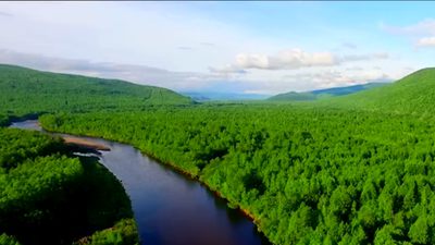 第1视点丨习近平考察漠河林场自然林区