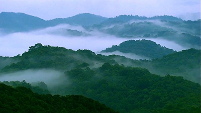 跟着总书记的考察足迹丨走进“中国最美乡村”——婺源
