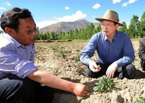 在雪域高原播撒大爱