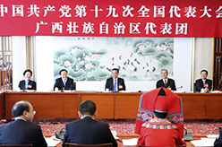 李克强参加党的十九大广西壮族自治区代表团讨论