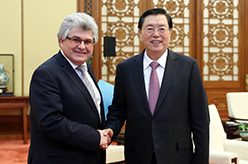 张德江会见瑞士联邦议会联邦院议长比绍夫贝尔格