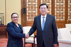 张德江会见加蓬参议长米勒布