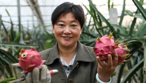 李孝菊：扎根乡村沃土 实现创业梦想