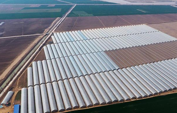 “小虫子”促增收