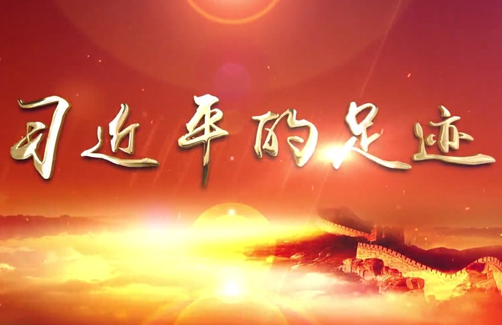 这些县区,习近平来调研过——深圳前海