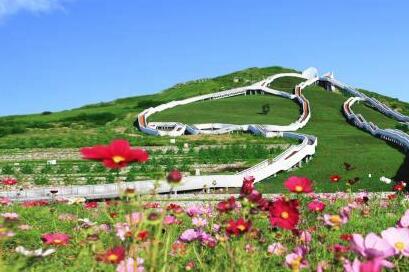 北疆亮丽风景线的绿色生态新图景