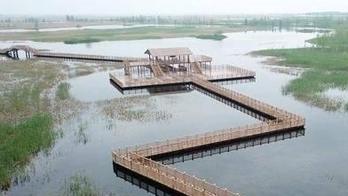 【封面新闻】河湖生态补水有效模式仍需进一步探索研究