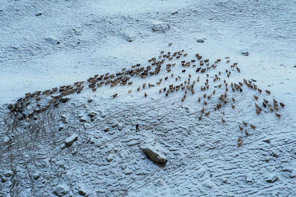 探访深藏天山的&ldquo;桃花源&rdquo;