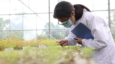 林业工程师毛英：让丁香绽放生命的绚烂