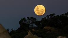 “超级月亮”现身夜空