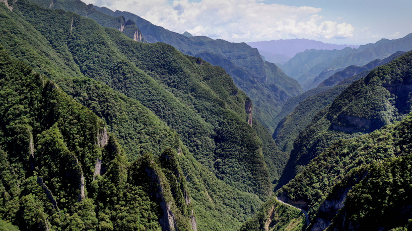 探访重庆五里坡国家级自然保护区