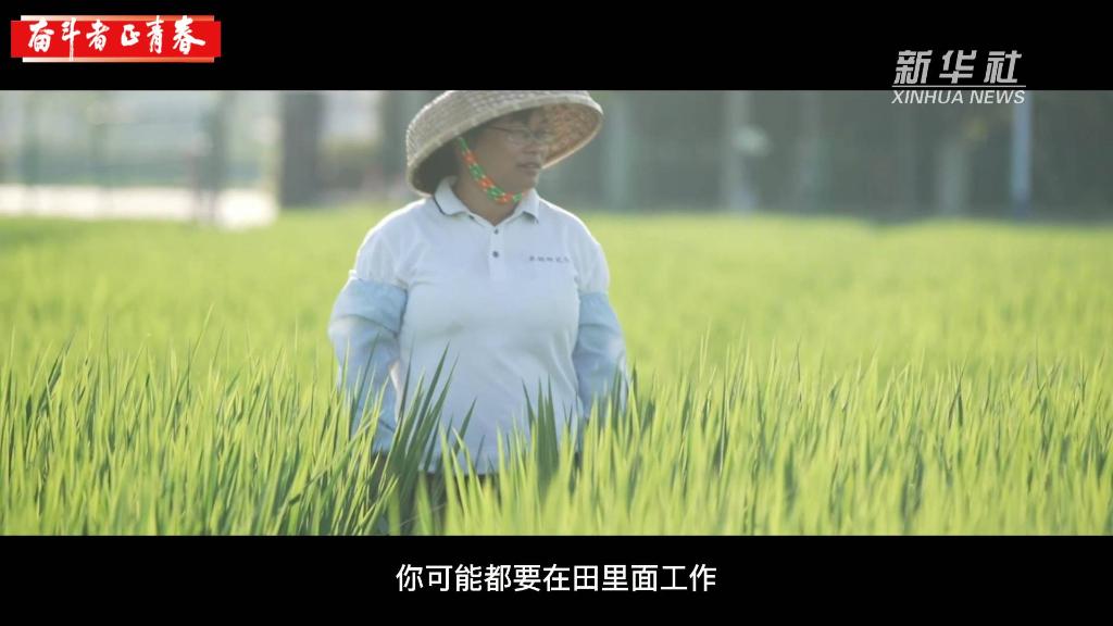 “水稻博士”周红英：青春献给种子科研事业
