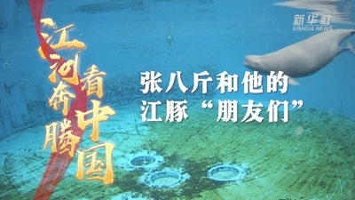 张八斤和他的江豚&ldquo;朋友们&rdquo;