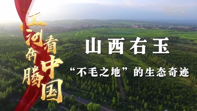 山西右玉：&ldquo;不毛之地&rdquo;的生态奇迹