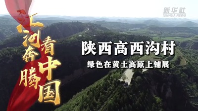 陕西高西沟村：绿色在黄土高原上铺展