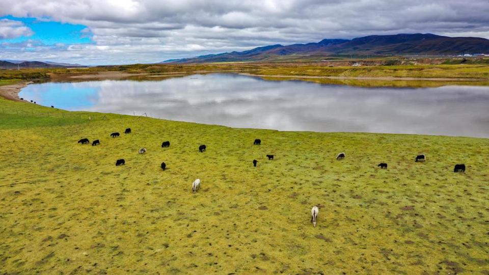黄河奔流泽陇原&mdash;&mdash;甘肃绘就黄河保护治理新画卷