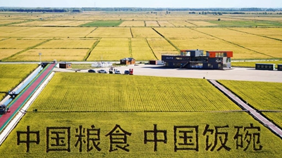 松花江泽润&ldquo;大粮仓&rdquo; 奏响富足美好生活曲