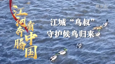 江城&ldquo;鸟叔&rdquo;守护候鸟归来