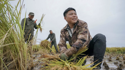 &ldquo;90后&rdquo;新农人：在黑土地上奏响田园之歌