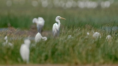 闽江：安澜清波风光好