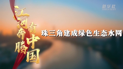 珠三角建成绿色生态水网