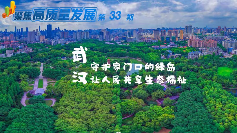 武漢：守護家門口的綠島 讓市民共享生態福祉