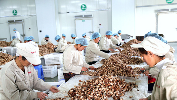 河南税费红利绘就现代农业好&ldquo;丰&rdquo;景