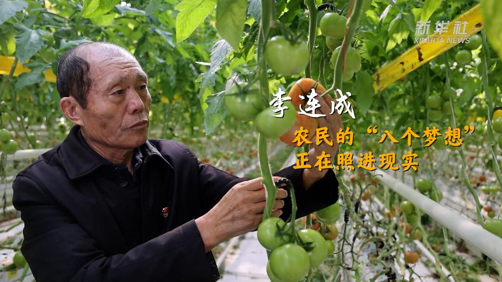 李连成：农民的“八个梦想”正在照进现实
