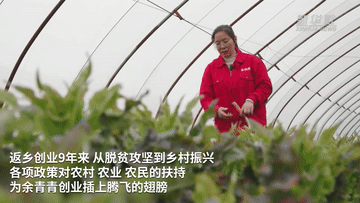 余青青：深耕绿色生态农业 引领乡亲增收致富