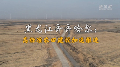 黑龙江齐齐哈尔：高标准农田建设加速推进
