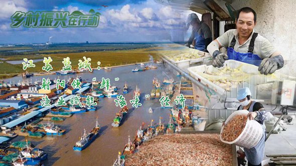江苏盐城：射阳领“鲜”，渔业赋能“海味”经济