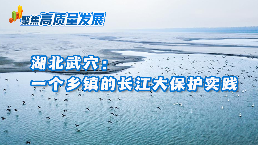 湖北武穴：一个乡镇的长江大保护实践