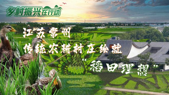 江蘇常州：傳統農耕村莊繪就“稻田理想”