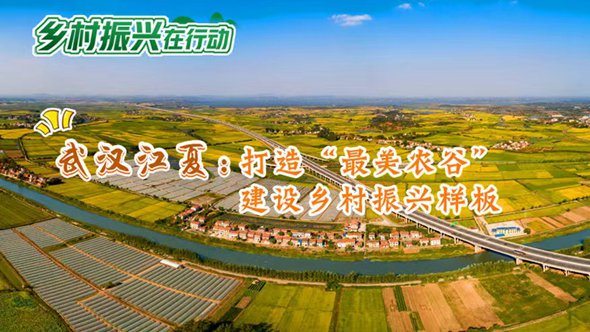 武汉江夏：打造“最美农谷” 建设乡村振兴样板