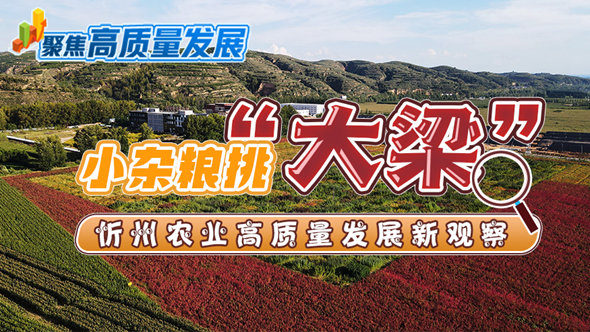 小雜糧挑“大梁”——忻州農業高質量發展新觀察