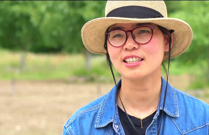 援藏女博士守护千年核桃树:每天坚持付出一点