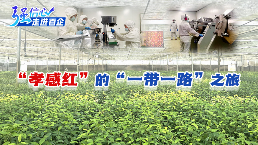 “孝感红”的“一带一路”之旅