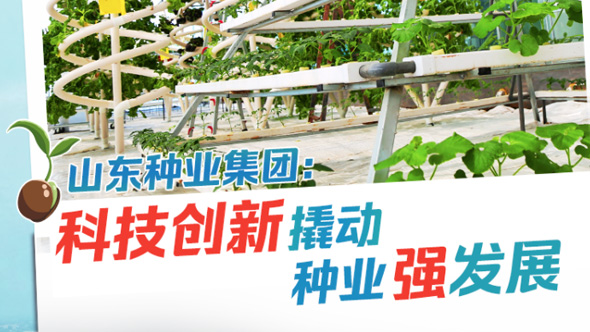 山东种业集团：科技创新撬动种业强发展