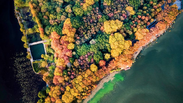 武汉：巧执生态笔 绘绿满江城