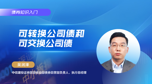 可转换公司债和可交换公司债