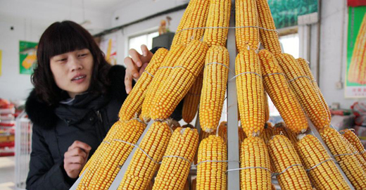 2013, 中国改革八大关键词