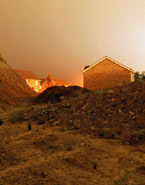 新爱尔兰景观 展览