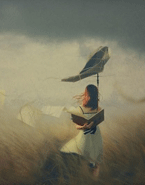 2013年索尼世界摄影奖获奖作品